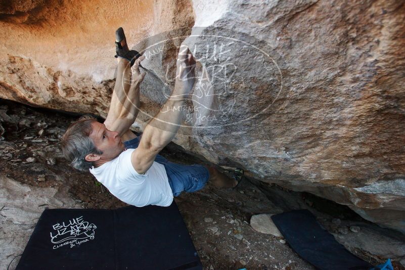 Bouldering in Hueco Tanks on 11/02/2018 with Blue Lizard Climbing and Yoga

Filename: SRM_20181102_1239580.jpg
Aperture: f/4.0
Shutter Speed: 1/250
Body: Canon EOS-1D Mark II
Lens: Canon EF 16-35mm f/2.8 L