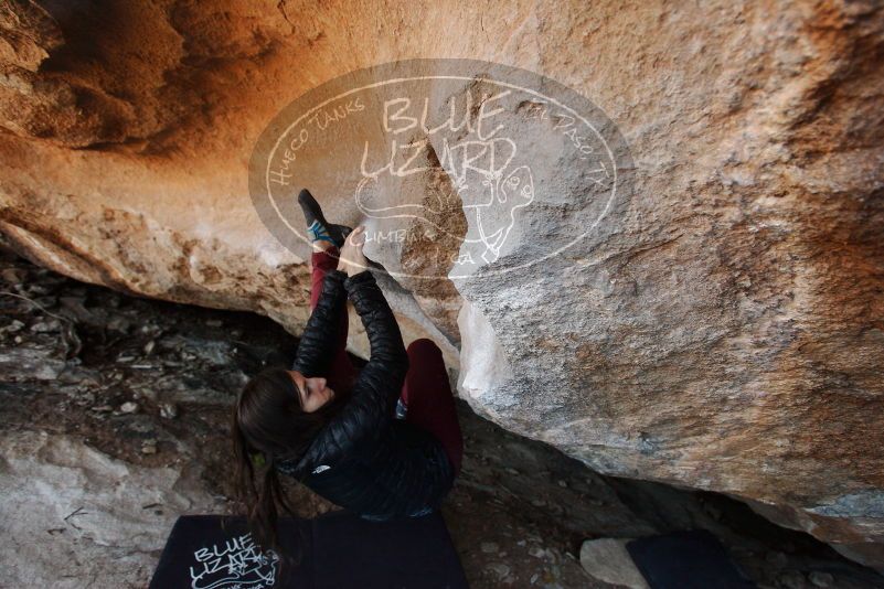 Bouldering in Hueco Tanks on 11/02/2018 with Blue Lizard Climbing and Yoga

Filename: SRM_20181102_1247160.jpg
Aperture: f/4.0
Shutter Speed: 1/320
Body: Canon EOS-1D Mark II
Lens: Canon EF 16-35mm f/2.8 L