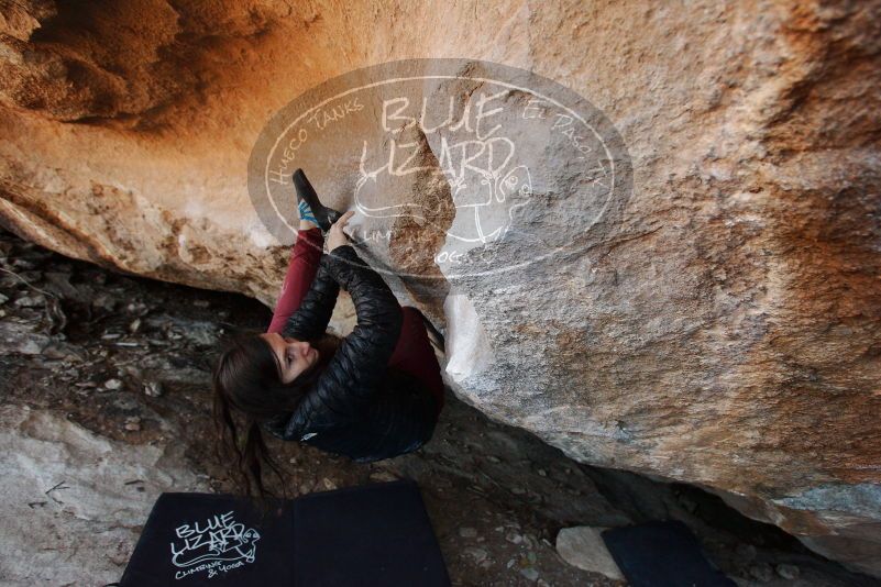 Bouldering in Hueco Tanks on 11/02/2018 with Blue Lizard Climbing and Yoga

Filename: SRM_20181102_1247180.jpg
Aperture: f/4.0
Shutter Speed: 1/320
Body: Canon EOS-1D Mark II
Lens: Canon EF 16-35mm f/2.8 L