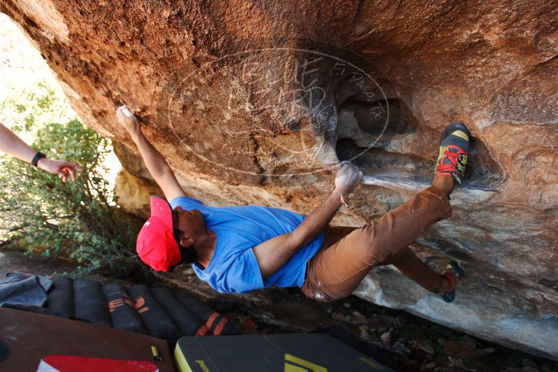 Bouldering in Hueco Tanks on 11/02/2018 with Blue Lizard Climbing and Yoga

Filename: SRM_20181102_1352570.jpg
Aperture: f/4.0
Shutter Speed: 1/320
Body: Canon EOS-1D Mark II
Lens: Canon EF 16-35mm f/2.8 L