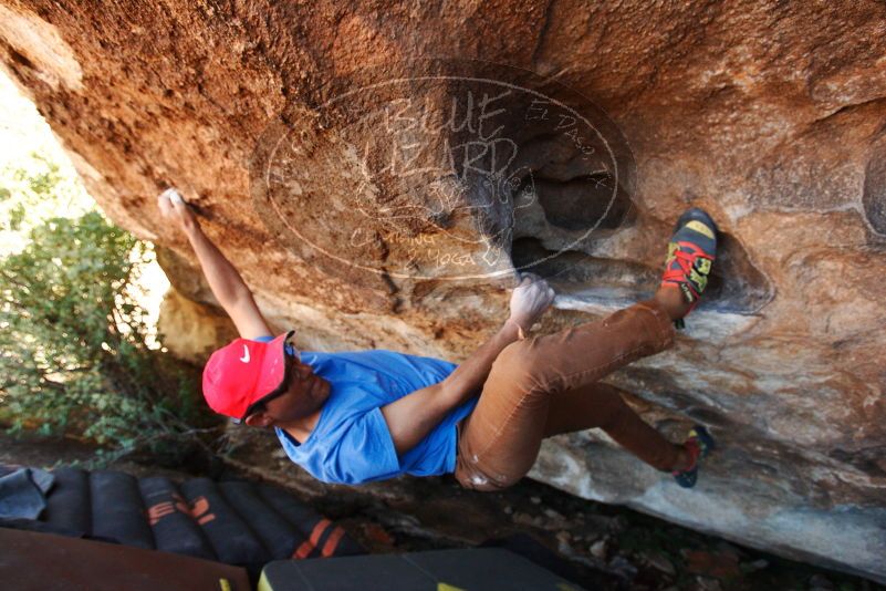 Bouldering in Hueco Tanks on 11/02/2018 with Blue Lizard Climbing and Yoga

Filename: SRM_20181102_1352580.jpg
Aperture: f/4.0
Shutter Speed: 1/250
Body: Canon EOS-1D Mark II
Lens: Canon EF 16-35mm f/2.8 L