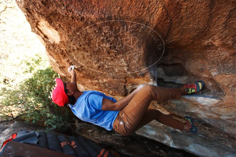 Bouldering in Hueco Tanks on 11/02/2018 with Blue Lizard Climbing and Yoga

Filename: SRM_20181102_1353040.jpg
Aperture: f/4.0
Shutter Speed: 1/400
Body: Canon EOS-1D Mark II
Lens: Canon EF 16-35mm f/2.8 L