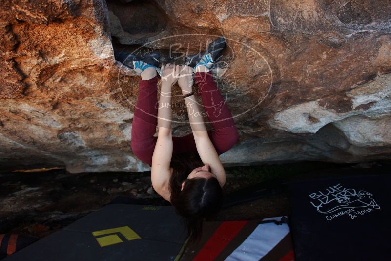 Bouldering in Hueco Tanks on 11/02/2018 with Blue Lizard Climbing and Yoga

Filename: SRM_20181102_1355271.jpg
Aperture: f/4.0
Shutter Speed: 1/250
Body: Canon EOS-1D Mark II
Lens: Canon EF 16-35mm f/2.8 L