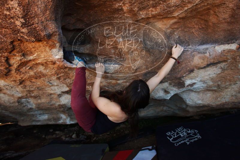 Bouldering in Hueco Tanks on 11/02/2018 with Blue Lizard Climbing and Yoga

Filename: SRM_20181102_1355320.jpg
Aperture: f/4.0
Shutter Speed: 1/250
Body: Canon EOS-1D Mark II
Lens: Canon EF 16-35mm f/2.8 L