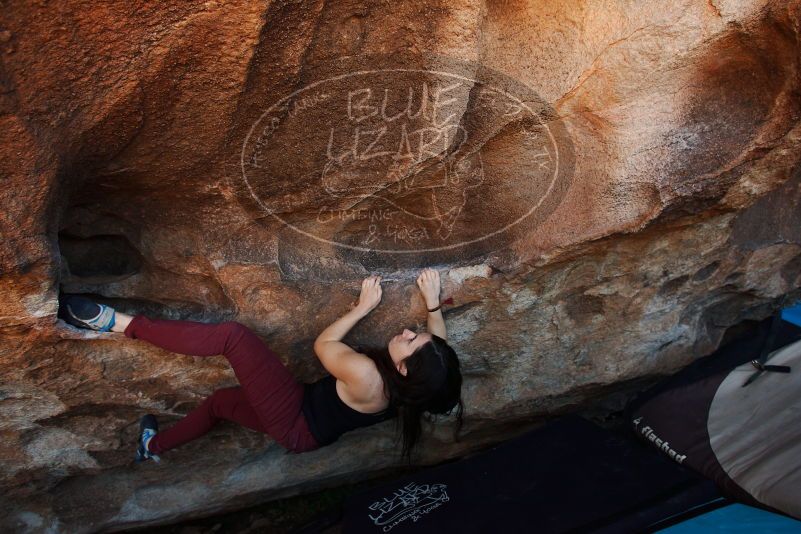 Bouldering in Hueco Tanks on 11/02/2018 with Blue Lizard Climbing and Yoga

Filename: SRM_20181102_1355430.jpg
Aperture: f/4.0
Shutter Speed: 1/320
Body: Canon EOS-1D Mark II
Lens: Canon EF 16-35mm f/2.8 L