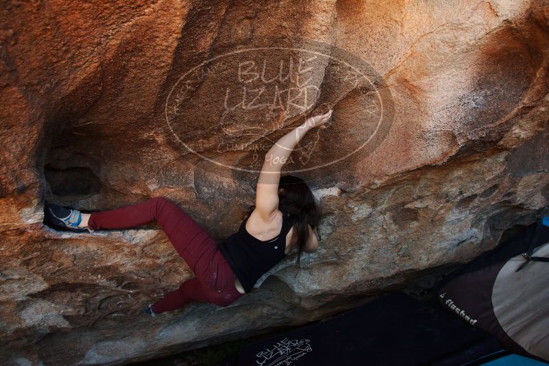 Bouldering in Hueco Tanks on 11/02/2018 with Blue Lizard Climbing and Yoga

Filename: SRM_20181102_1355450.jpg
Aperture: f/4.0
Shutter Speed: 1/320
Body: Canon EOS-1D Mark II
Lens: Canon EF 16-35mm f/2.8 L