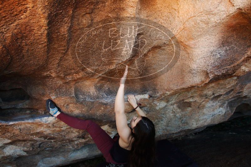 Bouldering in Hueco Tanks on 11/02/2018 with Blue Lizard Climbing and Yoga

Filename: SRM_20181102_1417130.jpg
Aperture: f/4.5
Shutter Speed: 1/250
Body: Canon EOS-1D Mark II
Lens: Canon EF 16-35mm f/2.8 L