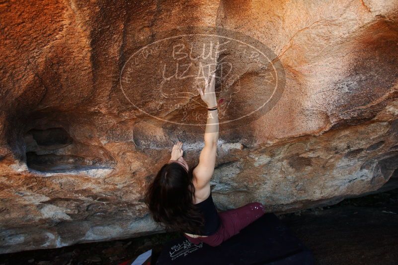 Bouldering in Hueco Tanks on 11/02/2018 with Blue Lizard Climbing and Yoga

Filename: SRM_20181102_1418351.jpg
Aperture: f/4.5
Shutter Speed: 1/320
Body: Canon EOS-1D Mark II
Lens: Canon EF 16-35mm f/2.8 L