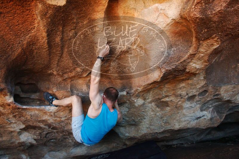 Bouldering in Hueco Tanks on 11/02/2018 with Blue Lizard Climbing and Yoga

Filename: SRM_20181102_1421200.jpg
Aperture: f/4.5
Shutter Speed: 1/320
Body: Canon EOS-1D Mark II
Lens: Canon EF 16-35mm f/2.8 L