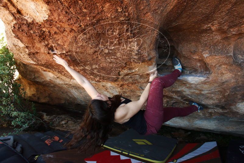 Bouldering in Hueco Tanks on 11/02/2018 with Blue Lizard Climbing and Yoga

Filename: SRM_20181102_1425260.jpg
Aperture: f/4.5
Shutter Speed: 1/250
Body: Canon EOS-1D Mark II
Lens: Canon EF 16-35mm f/2.8 L