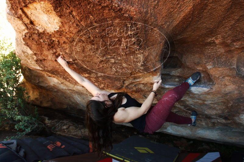 Bouldering in Hueco Tanks on 11/02/2018 with Blue Lizard Climbing and Yoga

Filename: SRM_20181102_1425310.jpg
Aperture: f/4.5
Shutter Speed: 1/250
Body: Canon EOS-1D Mark II
Lens: Canon EF 16-35mm f/2.8 L