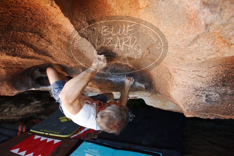 Bouldering in Hueco Tanks on 11/02/2018 with Blue Lizard Climbing and Yoga

Filename: SRM_20181102_1426330.jpg
Aperture: f/4.5
Shutter Speed: 1/250
Body: Canon EOS-1D Mark II
Lens: Canon EF 16-35mm f/2.8 L