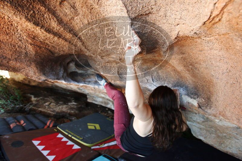 Bouldering in Hueco Tanks on 11/02/2018 with Blue Lizard Climbing and Yoga

Filename: SRM_20181102_1433120.jpg
Aperture: f/4.0
Shutter Speed: 1/200
Body: Canon EOS-1D Mark II
Lens: Canon EF 16-35mm f/2.8 L