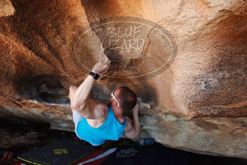 Bouldering in Hueco Tanks on 11/02/2018 with Blue Lizard Climbing and Yoga

Filename: SRM_20181102_1435050.jpg
Aperture: f/4.0
Shutter Speed: 1/400
Body: Canon EOS-1D Mark II
Lens: Canon EF 16-35mm f/2.8 L