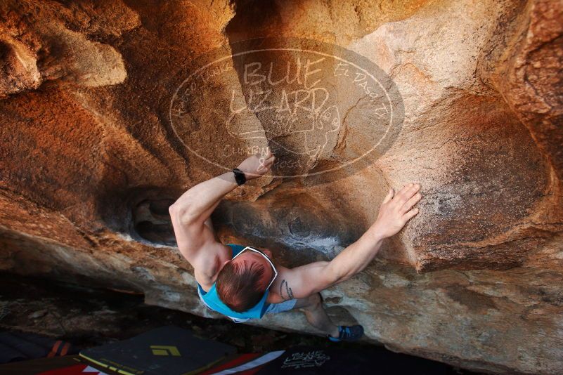 Bouldering in Hueco Tanks on 11/02/2018 with Blue Lizard Climbing and Yoga

Filename: SRM_20181102_1435090.jpg
Aperture: f/4.0
Shutter Speed: 1/400
Body: Canon EOS-1D Mark II
Lens: Canon EF 16-35mm f/2.8 L