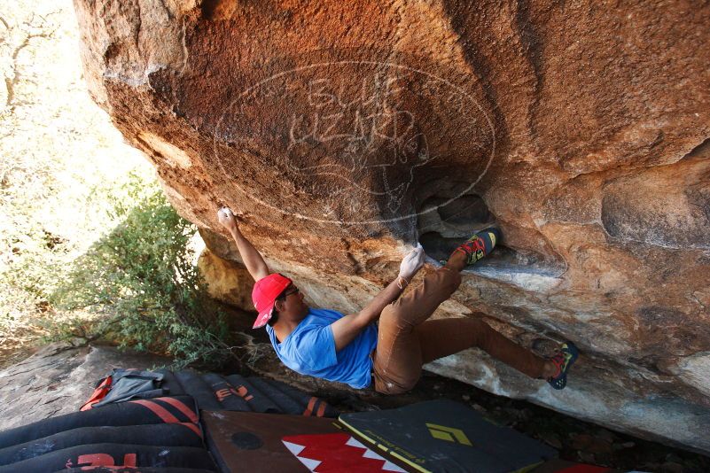 Bouldering in Hueco Tanks on 11/02/2018 with Blue Lizard Climbing and Yoga

Filename: SRM_20181102_1436040.jpg
Aperture: f/4.0
Shutter Speed: 1/400
Body: Canon EOS-1D Mark II
Lens: Canon EF 16-35mm f/2.8 L