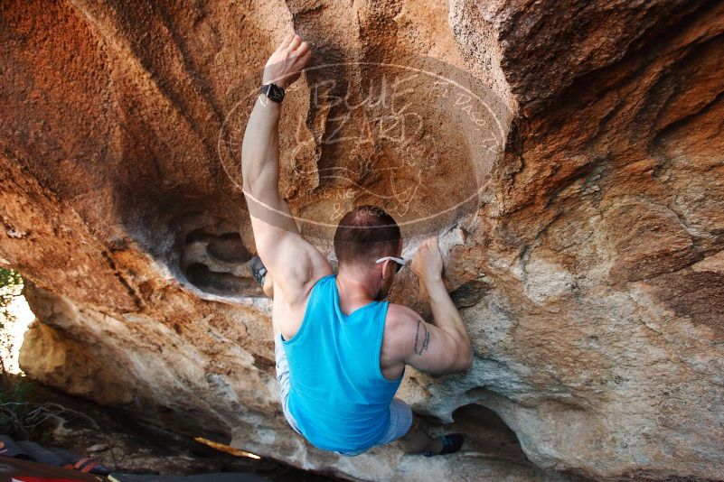 Bouldering in Hueco Tanks on 11/02/2018 with Blue Lizard Climbing and Yoga

Filename: SRM_20181102_1438480.jpg
Aperture: f/4.0
Shutter Speed: 1/320
Body: Canon EOS-1D Mark II
Lens: Canon EF 16-35mm f/2.8 L