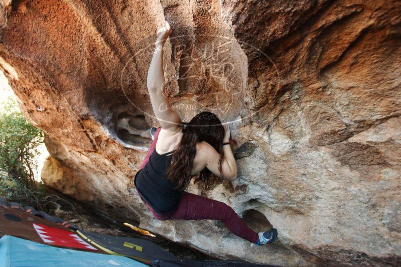 Bouldering in Hueco Tanks on 11/02/2018 with Blue Lizard Climbing and Yoga

Filename: SRM_20181102_1440140.jpg
Aperture: f/4.0
Shutter Speed: 1/250
Body: Canon EOS-1D Mark II
Lens: Canon EF 16-35mm f/2.8 L