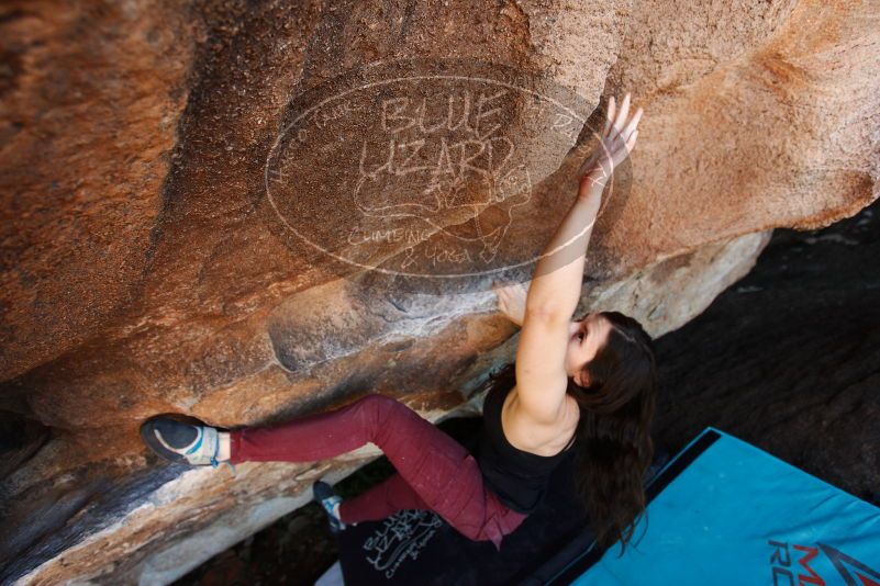 Bouldering in Hueco Tanks on 11/02/2018 with Blue Lizard Climbing and Yoga

Filename: SRM_20181102_1448131.jpg
Aperture: f/4.0
Shutter Speed: 1/250
Body: Canon EOS-1D Mark II
Lens: Canon EF 16-35mm f/2.8 L