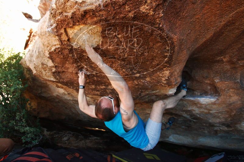 Bouldering in Hueco Tanks on 11/02/2018 with Blue Lizard Climbing and Yoga

Filename: SRM_20181102_1505400.jpg
Aperture: f/4.0
Shutter Speed: 1/500
Body: Canon EOS-1D Mark II
Lens: Canon EF 16-35mm f/2.8 L