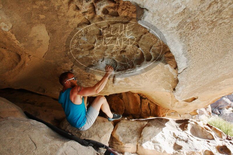 Bouldering in Hueco Tanks on 11/03/2018 with Blue Lizard Climbing and Yoga

Filename: SRM_20181103_0946570.jpg
Aperture: f/5.6
Shutter Speed: 1/500
Body: Canon EOS-1D Mark II
Lens: Canon EF 16-35mm f/2.8 L