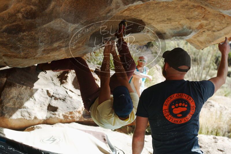 Bouldering in Hueco Tanks on 11/03/2018 with Blue Lizard Climbing and Yoga

Filename: SRM_20181103_1001360.jpg
Aperture: f/4.0
Shutter Speed: 1/1600
Body: Canon EOS-1D Mark II
Lens: Canon EF 50mm f/1.8 II