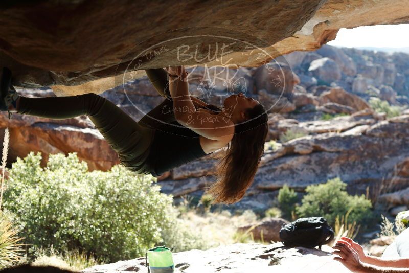 Bouldering in Hueco Tanks on 11/03/2018 with Blue Lizard Climbing and Yoga

Filename: SRM_20181103_1006340.jpg
Aperture: f/4.0
Shutter Speed: 1/1000
Body: Canon EOS-1D Mark II
Lens: Canon EF 50mm f/1.8 II