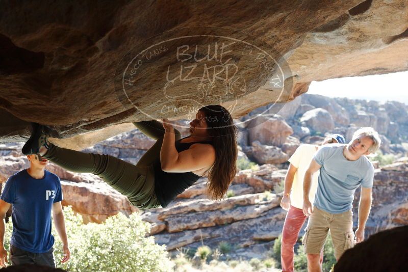 Bouldering in Hueco Tanks on 11/03/2018 with Blue Lizard Climbing and Yoga

Filename: SRM_20181103_1031000.jpg
Aperture: f/5.6
Shutter Speed: 1/500
Body: Canon EOS-1D Mark II
Lens: Canon EF 50mm f/1.8 II