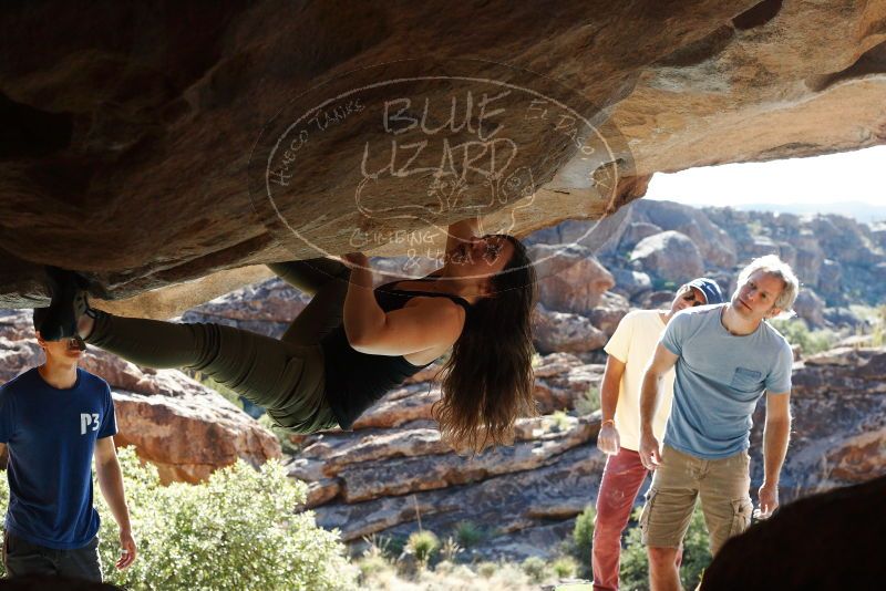 Bouldering in Hueco Tanks on 11/03/2018 with Blue Lizard Climbing and Yoga

Filename: SRM_20181103_1031011.jpg
Aperture: f/5.6
Shutter Speed: 1/640
Body: Canon EOS-1D Mark II
Lens: Canon EF 50mm f/1.8 II