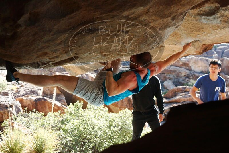 Bouldering in Hueco Tanks on 11/03/2018 with Blue Lizard Climbing and Yoga

Filename: SRM_20181103_1037181.jpg
Aperture: f/5.6
Shutter Speed: 1/500
Body: Canon EOS-1D Mark II
Lens: Canon EF 50mm f/1.8 II