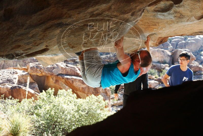 Bouldering in Hueco Tanks on 11/03/2018 with Blue Lizard Climbing and Yoga

Filename: SRM_20181103_1037220.jpg
Aperture: f/5.6
Shutter Speed: 1/500
Body: Canon EOS-1D Mark II
Lens: Canon EF 50mm f/1.8 II