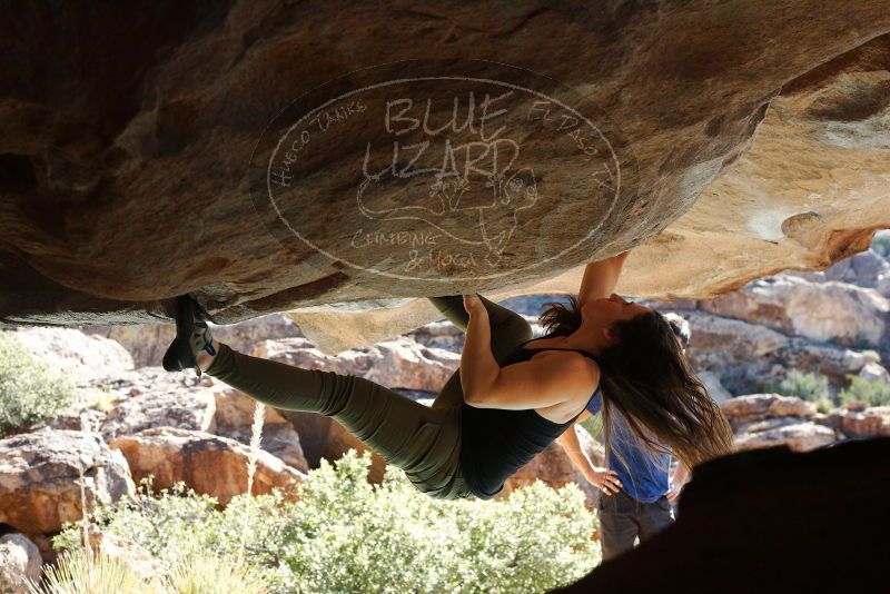 Bouldering in Hueco Tanks on 11/03/2018 with Blue Lizard Climbing and Yoga

Filename: SRM_20181103_1038060.jpg
Aperture: f/5.6
Shutter Speed: 1/500
Body: Canon EOS-1D Mark II
Lens: Canon EF 50mm f/1.8 II