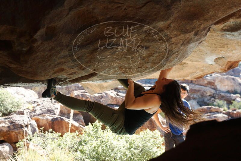 Bouldering in Hueco Tanks on 11/03/2018 with Blue Lizard Climbing and Yoga

Filename: SRM_20181103_1038061.jpg
Aperture: f/5.6
Shutter Speed: 1/500
Body: Canon EOS-1D Mark II
Lens: Canon EF 50mm f/1.8 II