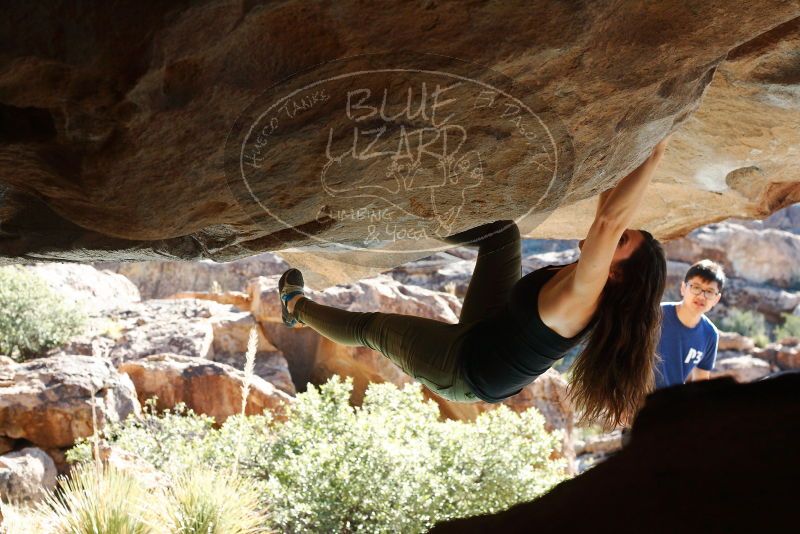 Bouldering in Hueco Tanks on 11/03/2018 with Blue Lizard Climbing and Yoga

Filename: SRM_20181103_1038090.jpg
Aperture: f/5.6
Shutter Speed: 1/500
Body: Canon EOS-1D Mark II
Lens: Canon EF 50mm f/1.8 II