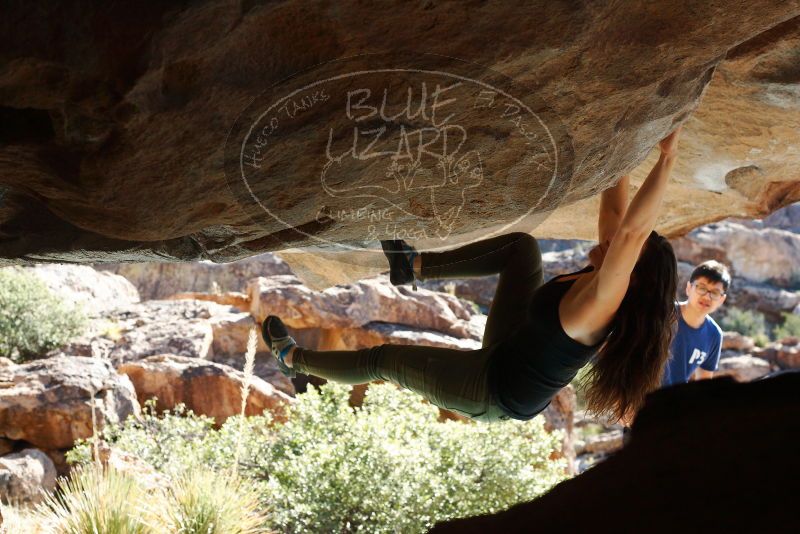 Bouldering in Hueco Tanks on 11/03/2018 with Blue Lizard Climbing and Yoga

Filename: SRM_20181103_1038091.jpg
Aperture: f/5.6
Shutter Speed: 1/500
Body: Canon EOS-1D Mark II
Lens: Canon EF 50mm f/1.8 II