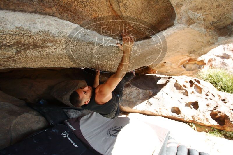 Bouldering in Hueco Tanks on 11/03/2018 with Blue Lizard Climbing and Yoga

Filename: SRM_20181103_1045010.jpg
Aperture: f/5.6
Shutter Speed: 1/640
Body: Canon EOS-1D Mark II
Lens: Canon EF 16-35mm f/2.8 L