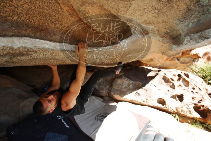 Bouldering in Hueco Tanks on 11/03/2018 with Blue Lizard Climbing and Yoga

Filename: SRM_20181103_1045070.jpg
Aperture: f/5.6
Shutter Speed: 1/800
Body: Canon EOS-1D Mark II
Lens: Canon EF 16-35mm f/2.8 L