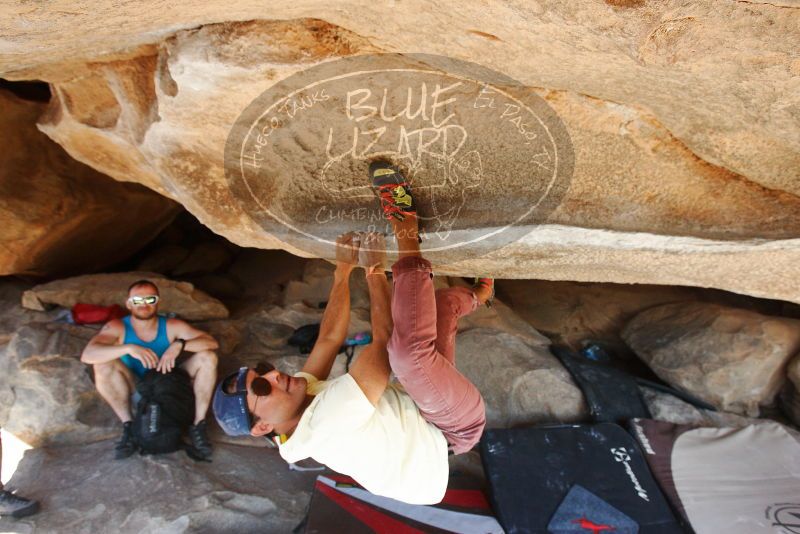 Bouldering in Hueco Tanks on 11/03/2018 with Blue Lizard Climbing and Yoga

Filename: SRM_20181103_1046420.jpg
Aperture: f/5.6
Shutter Speed: 1/400
Body: Canon EOS-1D Mark II
Lens: Canon EF 16-35mm f/2.8 L