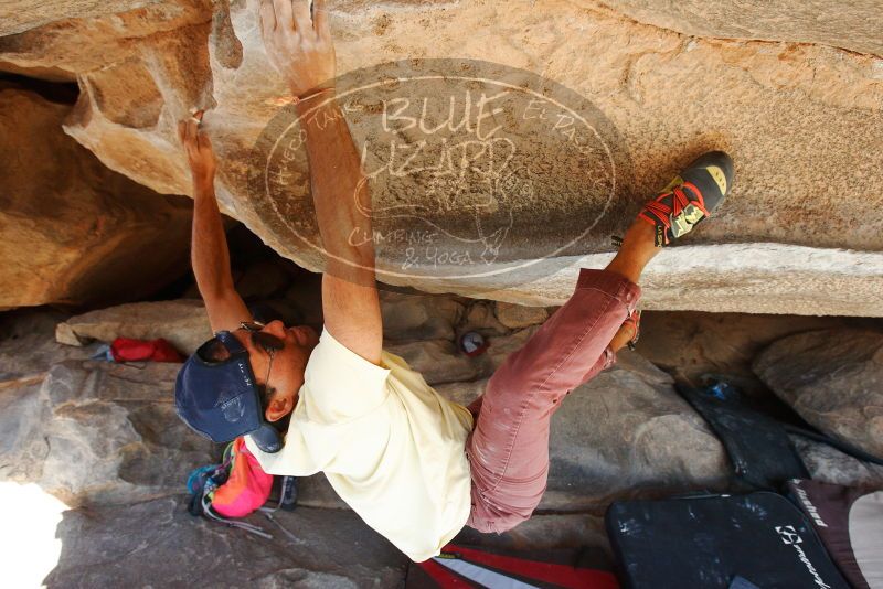 Bouldering in Hueco Tanks on 11/03/2018 with Blue Lizard Climbing and Yoga

Filename: SRM_20181103_1050060.jpg
Aperture: f/5.6
Shutter Speed: 1/400
Body: Canon EOS-1D Mark II
Lens: Canon EF 16-35mm f/2.8 L