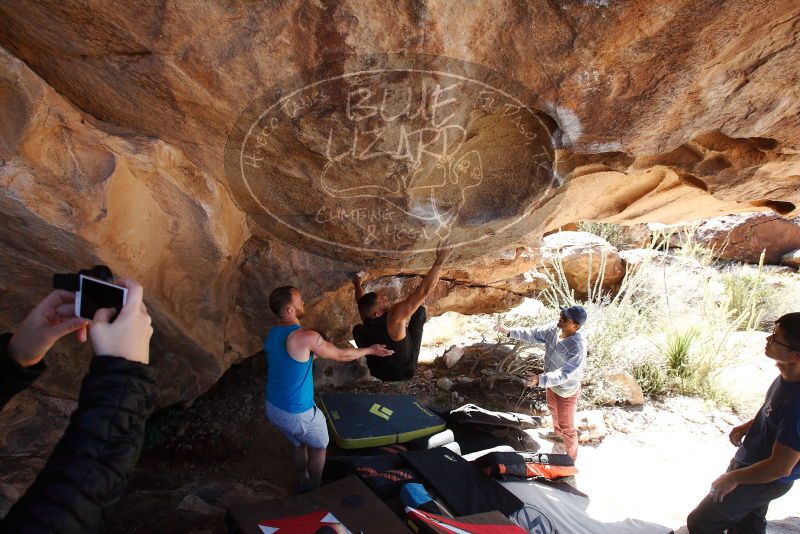 Bouldering in Hueco Tanks on 11/03/2018 with Blue Lizard Climbing and Yoga

Filename: SRM_20181103_1150302.jpg
Aperture: f/5.6
Shutter Speed: 1/500
Body: Canon EOS-1D Mark II
Lens: Canon EF 16-35mm f/2.8 L