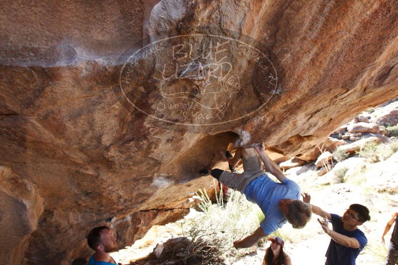 Bouldering in Hueco Tanks on 11/03/2018 with Blue Lizard Climbing and Yoga

Filename: SRM_20181103_1155100.jpg
Aperture: f/5.6
Shutter Speed: 1/500
Body: Canon EOS-1D Mark II
Lens: Canon EF 16-35mm f/2.8 L