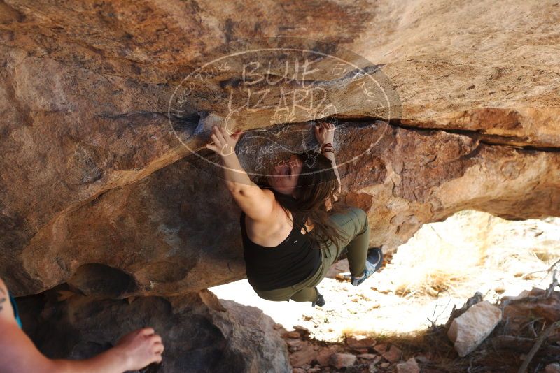 Bouldering in Hueco Tanks on 11/03/2018 with Blue Lizard Climbing and Yoga

Filename: SRM_20181103_1157410.jpg
Aperture: f/4.0
Shutter Speed: 1/500
Body: Canon EOS-1D Mark II
Lens: Canon EF 50mm f/1.8 II