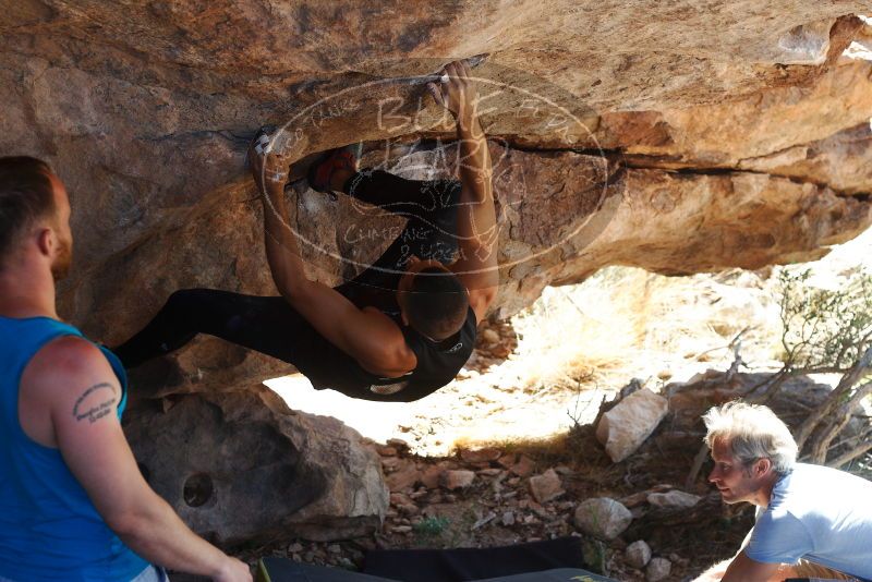 Bouldering in Hueco Tanks on 11/03/2018 with Blue Lizard Climbing and Yoga

Filename: SRM_20181103_1159450.jpg
Aperture: f/4.0
Shutter Speed: 1/640
Body: Canon EOS-1D Mark II
Lens: Canon EF 50mm f/1.8 II