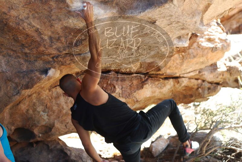 Bouldering in Hueco Tanks on 11/03/2018 with Blue Lizard Climbing and Yoga

Filename: SRM_20181103_1200120.jpg
Aperture: f/4.0
Shutter Speed: 1/400
Body: Canon EOS-1D Mark II
Lens: Canon EF 50mm f/1.8 II