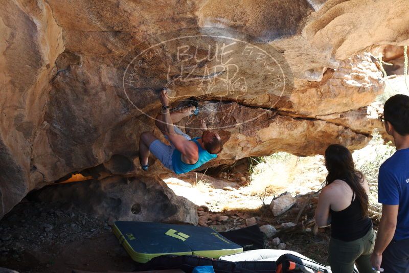 Bouldering in Hueco Tanks on 11/03/2018 with Blue Lizard Climbing and Yoga

Filename: SRM_20181103_1201480.jpg
Aperture: f/4.0
Shutter Speed: 1/500
Body: Canon EOS-1D Mark II
Lens: Canon EF 50mm f/1.8 II