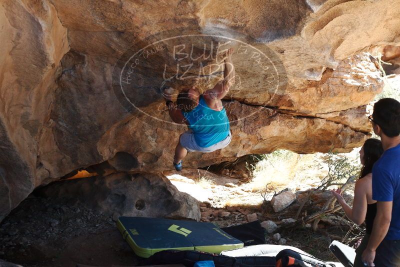 Bouldering in Hueco Tanks on 11/03/2018 with Blue Lizard Climbing and Yoga

Filename: SRM_20181103_1201580.jpg
Aperture: f/4.0
Shutter Speed: 1/500
Body: Canon EOS-1D Mark II
Lens: Canon EF 50mm f/1.8 II