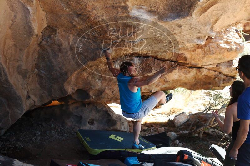 Bouldering in Hueco Tanks on 11/03/2018 with Blue Lizard Climbing and Yoga

Filename: SRM_20181103_1201582.jpg
Aperture: f/4.0
Shutter Speed: 1/500
Body: Canon EOS-1D Mark II
Lens: Canon EF 50mm f/1.8 II