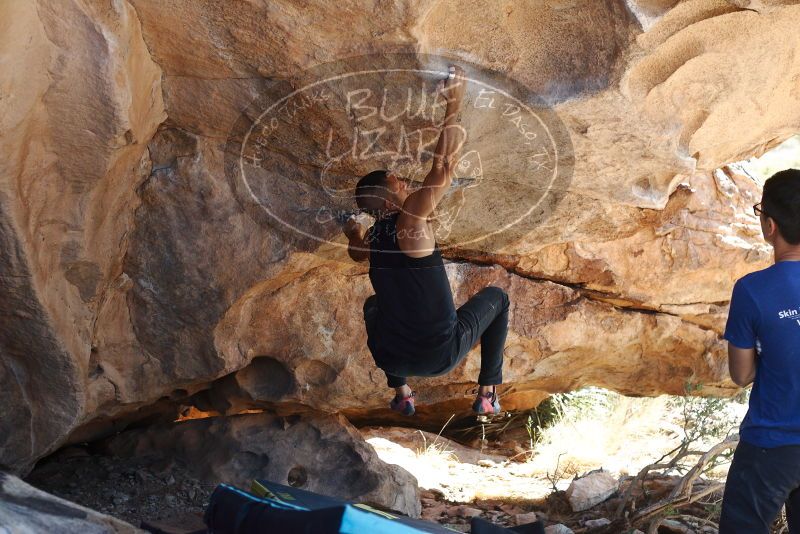 Bouldering in Hueco Tanks on 11/03/2018 with Blue Lizard Climbing and Yoga

Filename: SRM_20181103_1202272.jpg
Aperture: f/4.0
Shutter Speed: 1/400
Body: Canon EOS-1D Mark II
Lens: Canon EF 50mm f/1.8 II