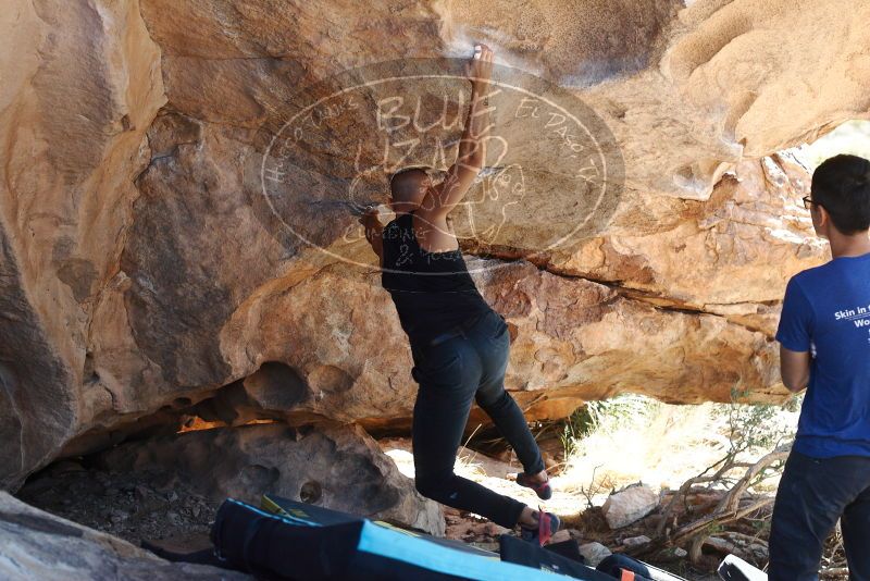 Bouldering in Hueco Tanks on 11/03/2018 with Blue Lizard Climbing and Yoga

Filename: SRM_20181103_1202280.jpg
Aperture: f/4.0
Shutter Speed: 1/400
Body: Canon EOS-1D Mark II
Lens: Canon EF 50mm f/1.8 II