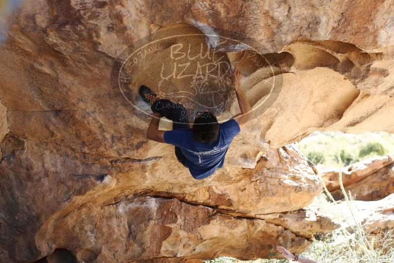 Bouldering in Hueco Tanks on 11/03/2018 with Blue Lizard Climbing and Yoga

Filename: SRM_20181103_1203390.jpg
Aperture: f/4.0
Shutter Speed: 1/500
Body: Canon EOS-1D Mark II
Lens: Canon EF 50mm f/1.8 II